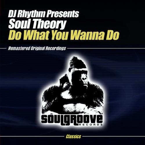 Dj Rhythm Presents Soul Theory - Do What You Wanna Do - Music CD Single