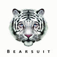 Bearsuit - The Phantom Forest [Vinyl]