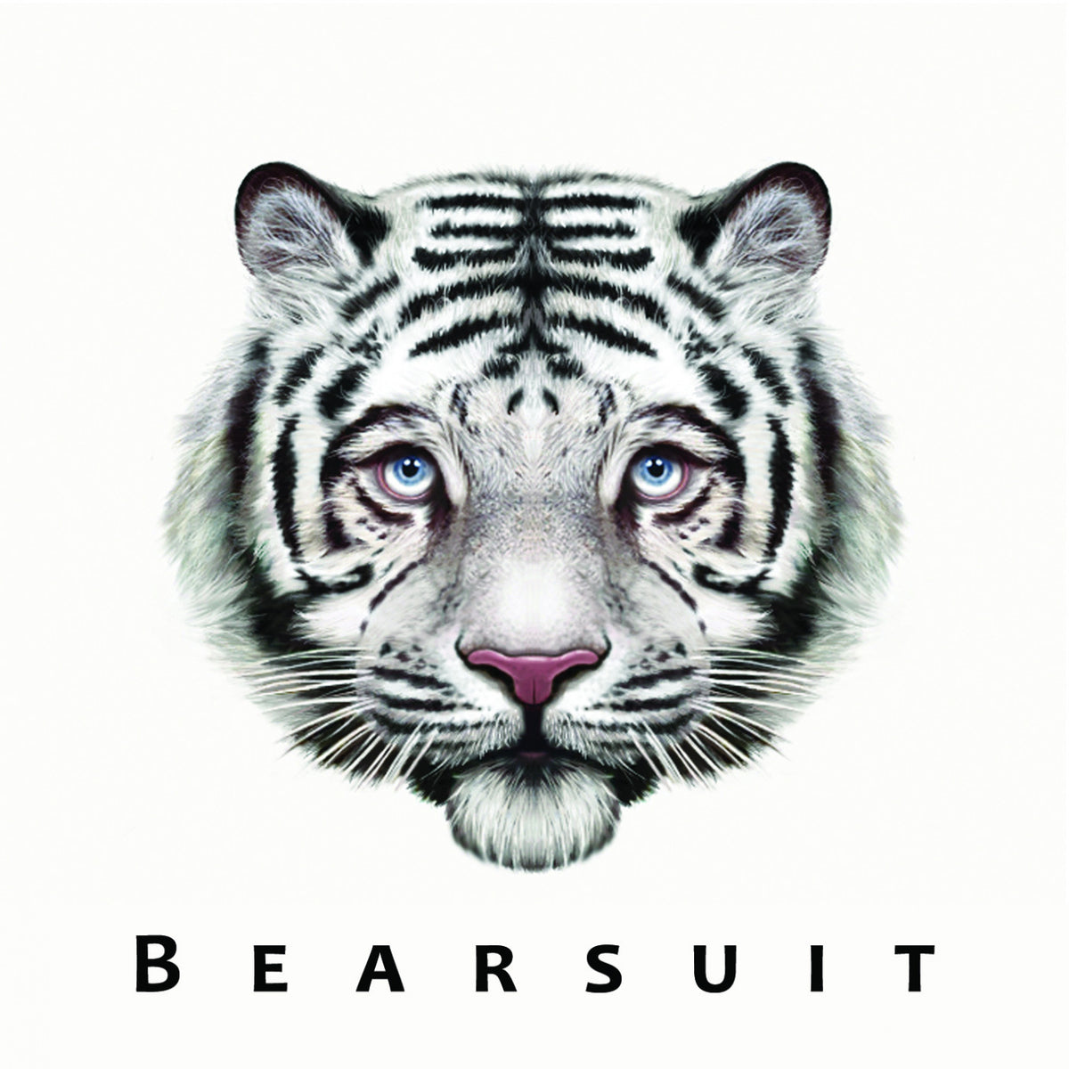 Bearsuit - The Phantom Forest [Vinyl]
