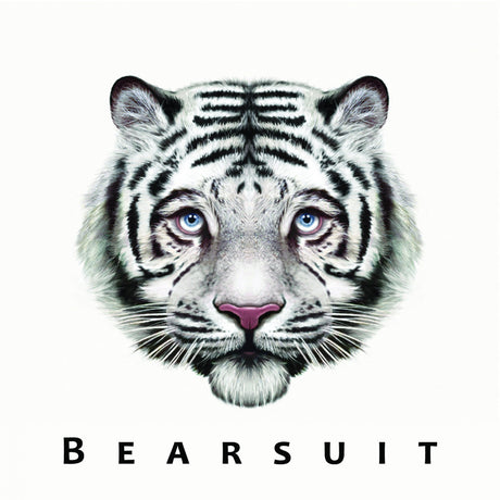 Bearsuit - The Phantom Forest [Vinyl]