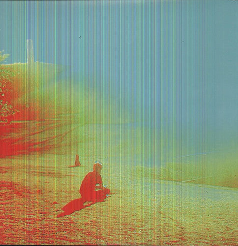 The Terror [LP]