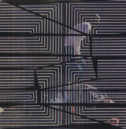 the album cover for David Grubbs - The Plain Where The Palace Stood