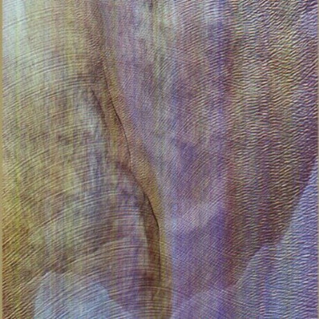 the album cover for Akron/Family - Sub Verses