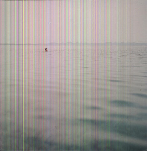 the album cover for Blue Cranes - Swim