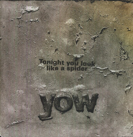 the album cover for David Yow - Tonight You Look Like a Spider
