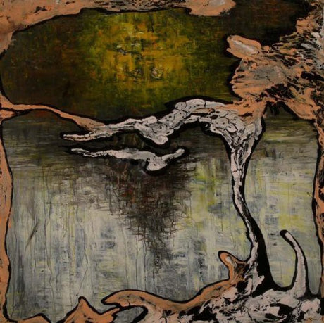 the album cover for Julian Lynch - Terra