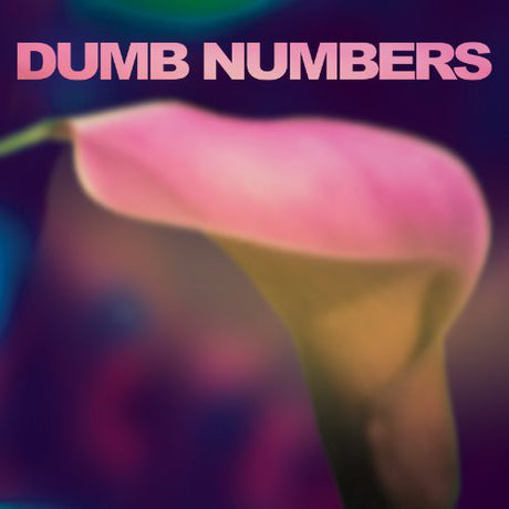 the album cover for Dumb Numbers - Dumb Numbers [Vinyl]