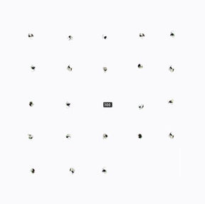 the album cover for Durian Brothers/Ensemble Skalectrik - Split Series 22