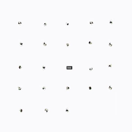 the album cover for Durian Brothers/Ensemble Skalectrik - Split Series 22