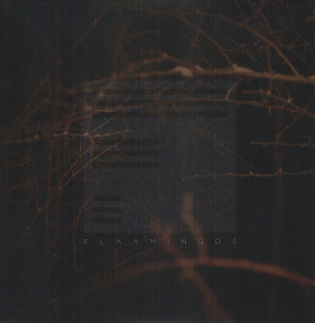 the album cover for Flaamingos - Flaamingos