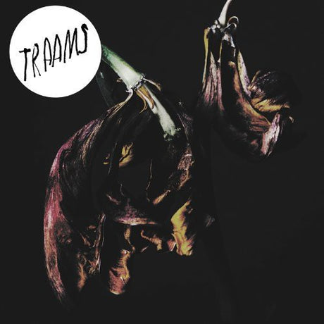 the album cover for TRAAMS - Grin [Vinyl]