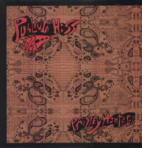 the album cover for Purling Hiss - Paisley Montage