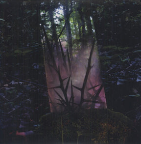 the album cover for Jensen Sportag - Stealth of Days
