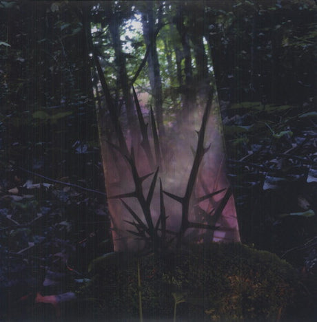 the album cover for Jensen Sportag - Stealth of Days