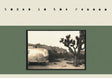 the album cover for Texas Is The Reason - Texas Is The Reason