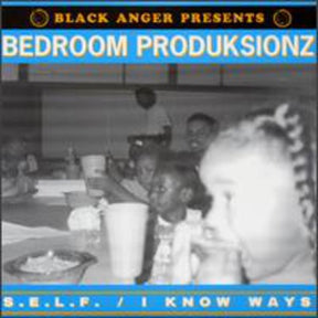 the album cover for Unknown Artist - S.E.L.F.
