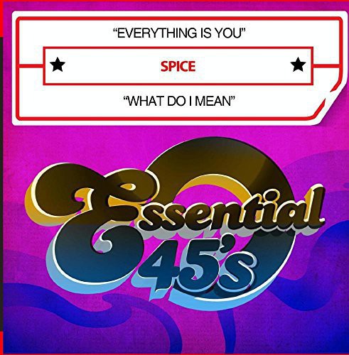 Spice - Everything Is You / What Do I Mean - Music CD Single