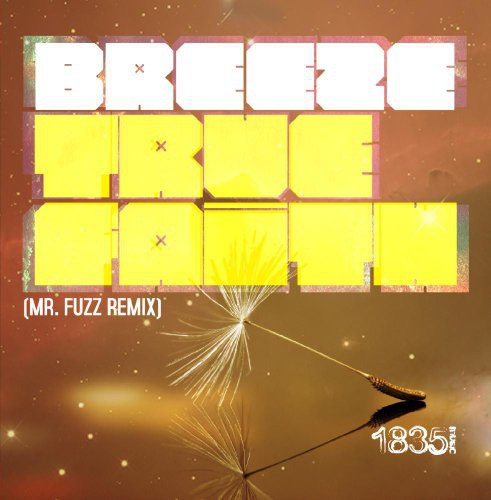 Breeze - True Faith (mr Fuzz Remix) - Music CD Single