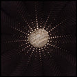 the album cover for Nat Baldwin - In the Hollows