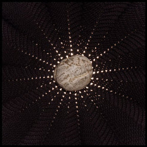 the album cover for Nat Baldwin - In the Hollows