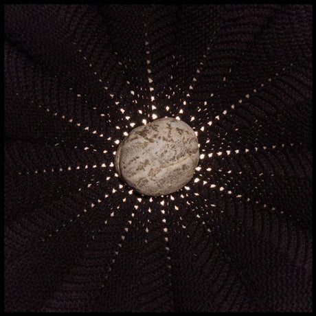 the album cover for Nat Baldwin - In the Hollows