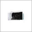 the album cover for Christopher Bissonette - Essays in Idleness