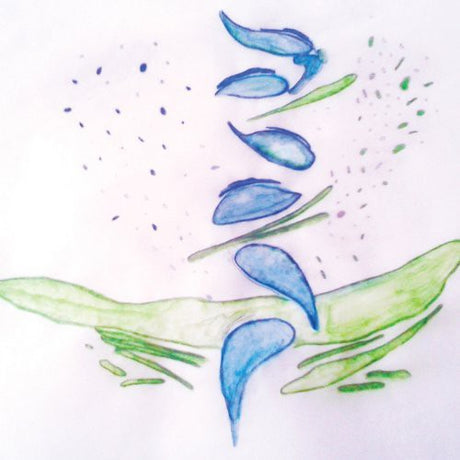 the album cover for Fis - Iterations