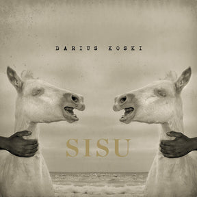 the album cover for Darius Koski - Sisu [Vinyl]