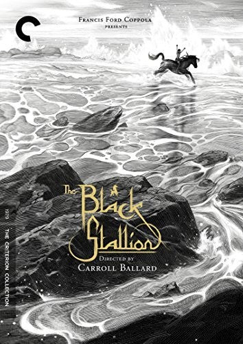 Criterion Collection - Black Stallion/dvd - DVD