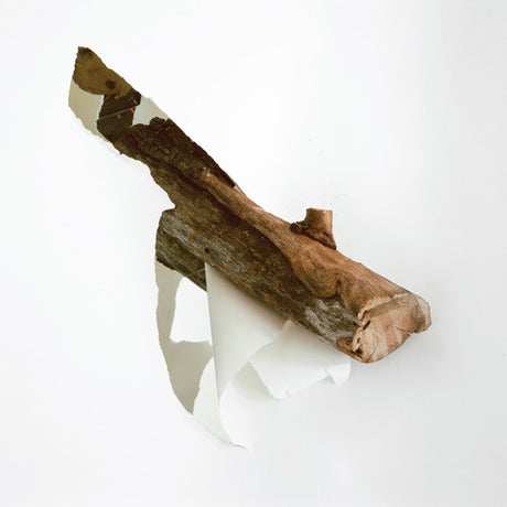 the album cover for Balmorhea - Heir [Limited Edition Vinyl]