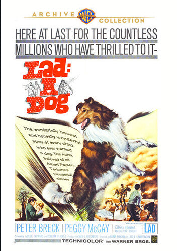 Lad A Dog - Lad A Dog - DVD