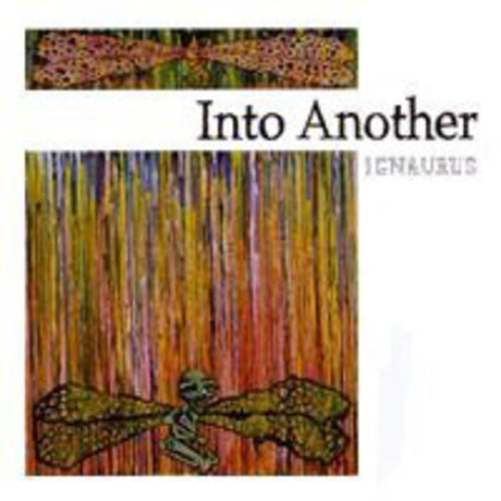 the album cover for Into Another - Ignaurus