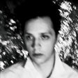 the album cover for Slim Twig - A Hound At The Hem [Vinyl]