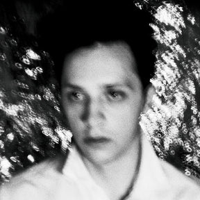 the album cover for Slim Twig - A Hound At The Hem [Vinyl]