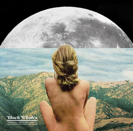 the album cover for Black Whales - Through the Prism Gently