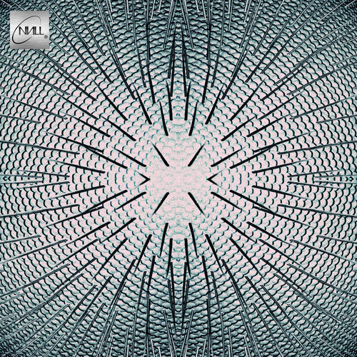the album cover for Null - Almost [Limited Edition Clear Vinyl]