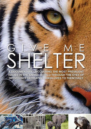 Give Me Shelter - Give Me Shelter - DVD