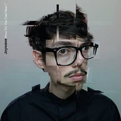 Joywave - How Do You Feel Now [CD]