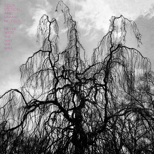 the album cover for Colin Stetson - Never Were The Way She Was [Vinyl]