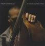 the album cover for Avishai Cohen - From Darkness [LP]