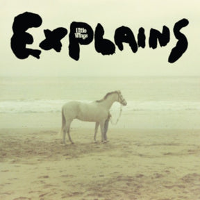 the album cover for Little Wings - Explains