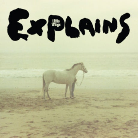 the album cover for Little Wings - Explains