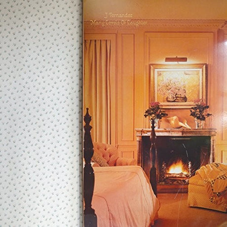 the album cover for J.Fernandez - Many Levels Of Laughter [Clear Vinyl]