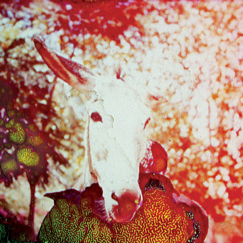 the album cover for Jerusalem In My Heart - If He Dies, If If If If If If [Vinyl]