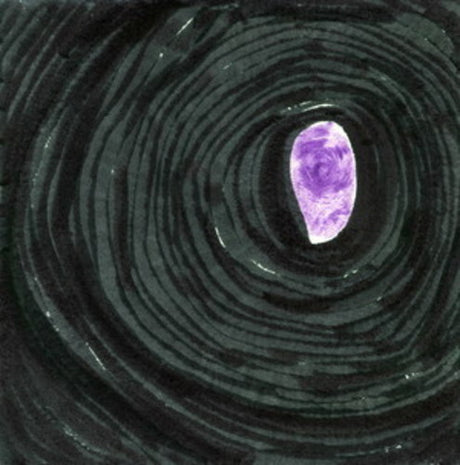 the album cover for The Memories - Tell Me / Don't Be A Drag [Vinyl] - Single