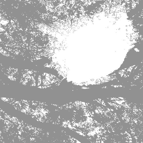 the album cover for Comets On Fire - Field Recordings from the Sun