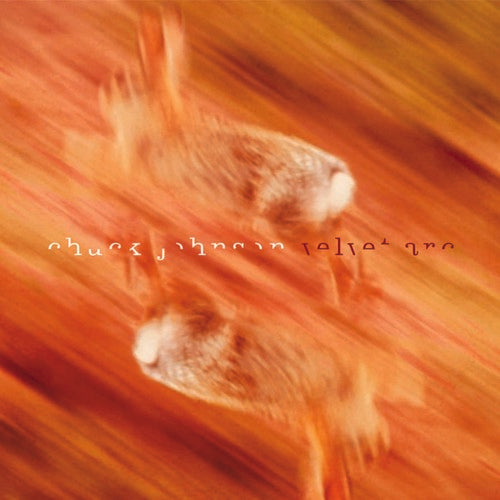 the album cover for Chuck Johnson - Velvet Arc [Vinyl]