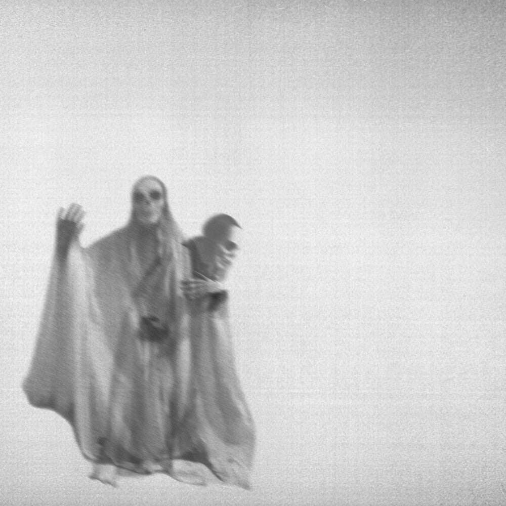 the album cover for toyGuitar - Move Like A Ghost