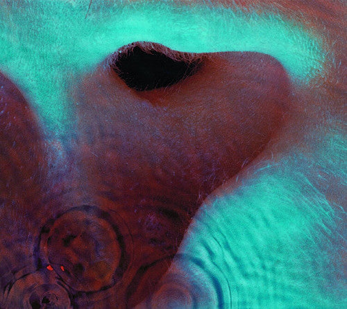 Pink Floyd - Meddle [CD]