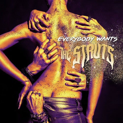 Everybody Wants [CD]